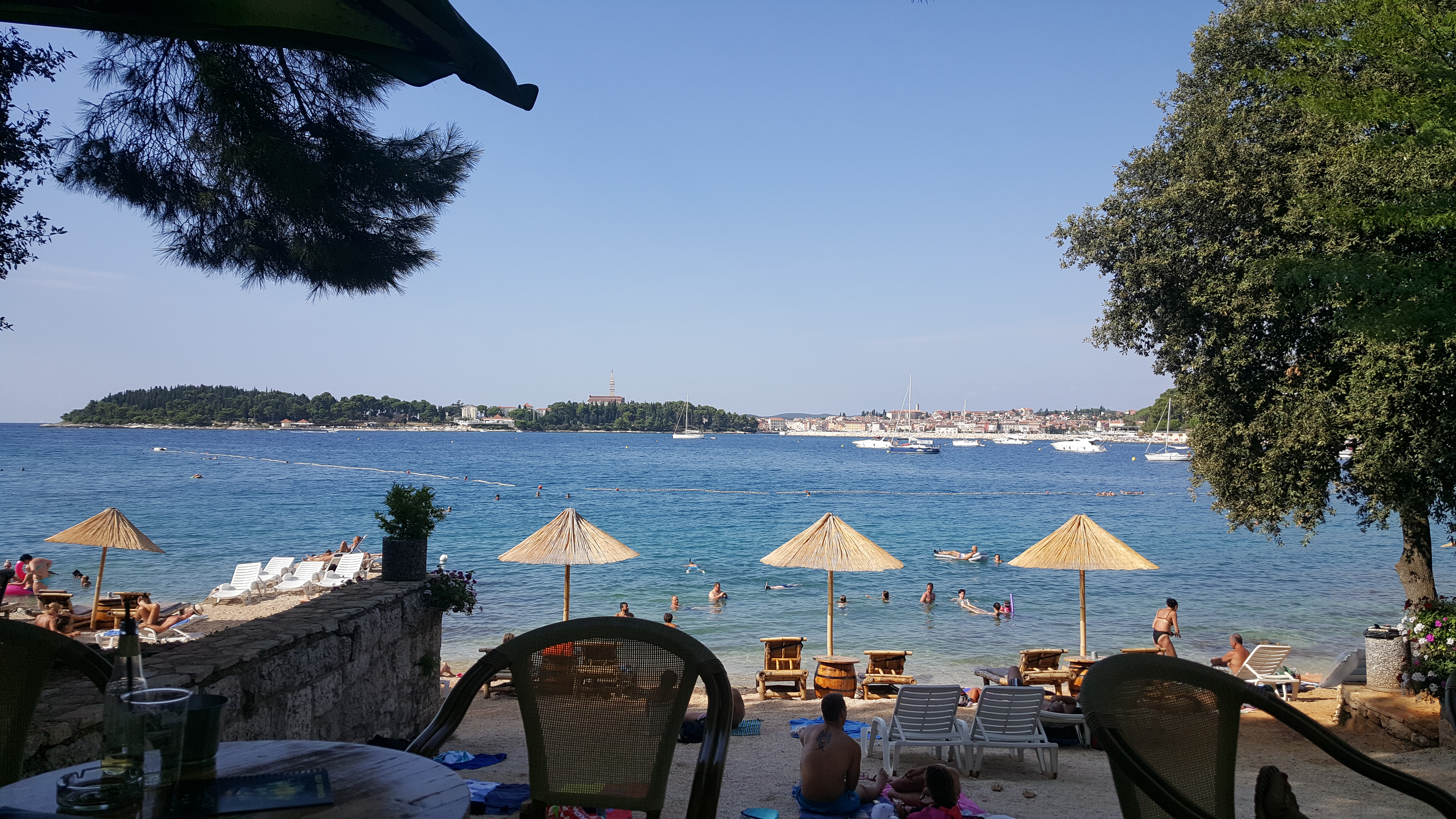 20180810_163121.jpg